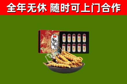 佛冈县回收冬虫夏草价格